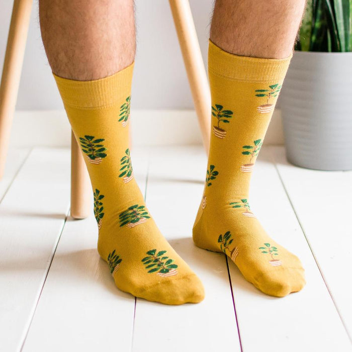 Men's Socks Fiddle Leaf Fig