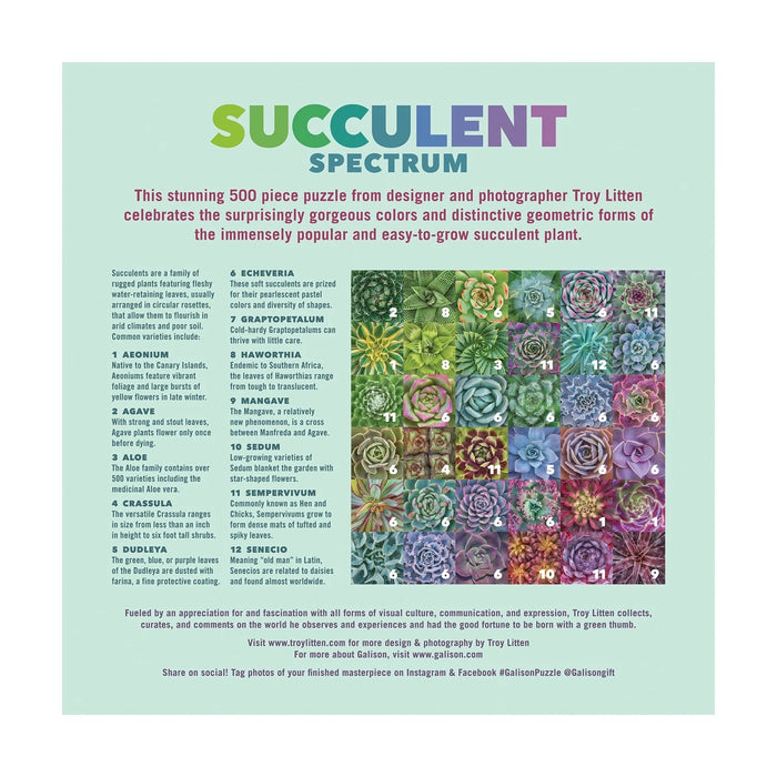 Succulent Spectrum 500 pc Puzzle