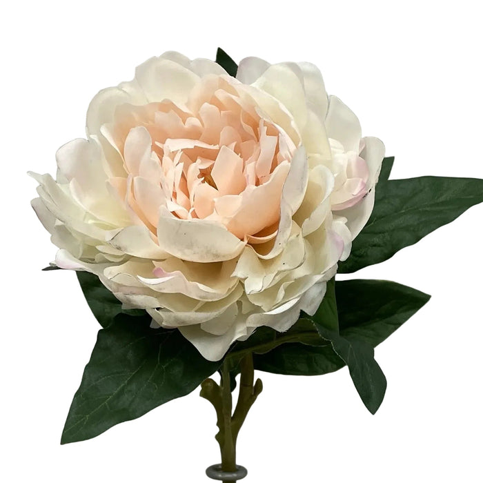 Fresh Touch Peony Stem