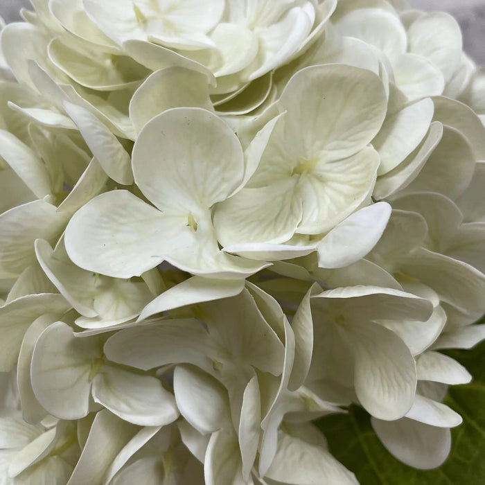 Fresh Touch Hydrangea Stem