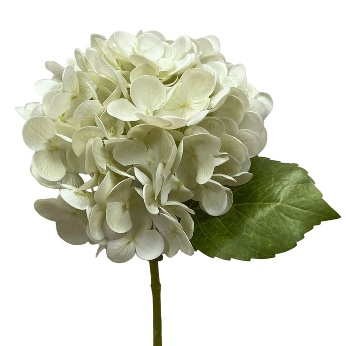 Fresh Touch Hydrangea Stem