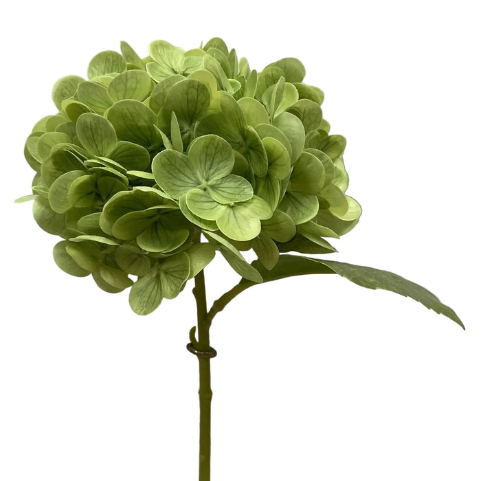 Fresh Touch Hydrangea Stem