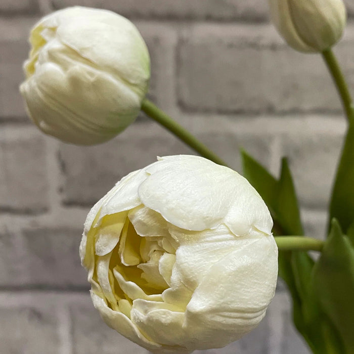 Faux Peony Tulip Bunch 18" 5 stems