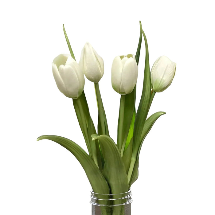 Clear glass vase with white tulips on a white background