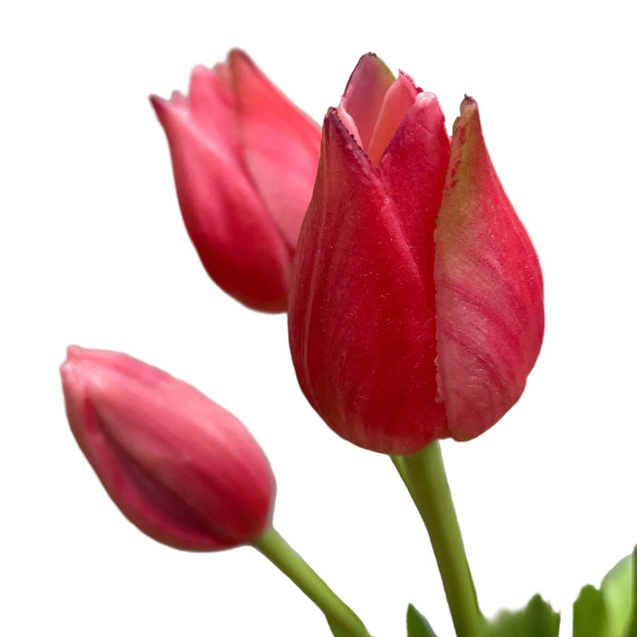 Faux Dynasty Mini Tulip Bunch 10" 5 stems