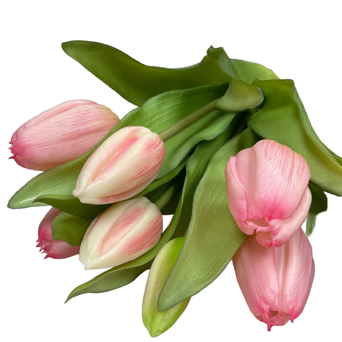 Bouquet of pink tulips on a wooden surface