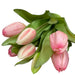 Bouquet of pink tulips on a wooden surface