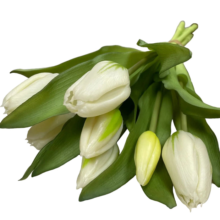 Bouquet of white tulips with green leaves on a textured surface.