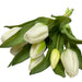 Bouquet of white tulips with green leaves on a textured surface.