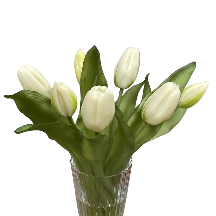 Bouquet of white tulips in a clear glass vase on a white background