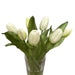 Bouquet of white tulips in a clear glass vase on a white background
