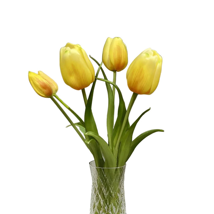 Clear glass vase with yellow tulips on a white background