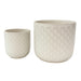 Two beige ceramic planters with textured patterns on a white background