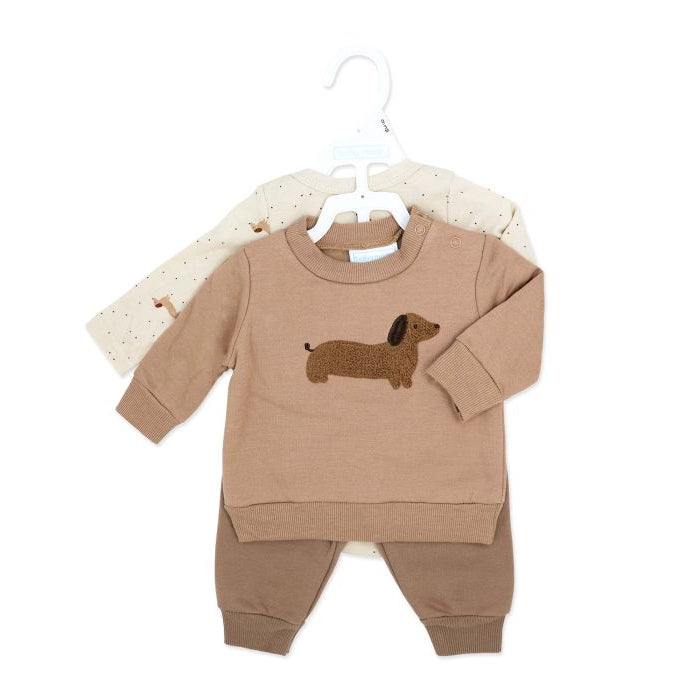 3 Piece Dachshund Jogging Set