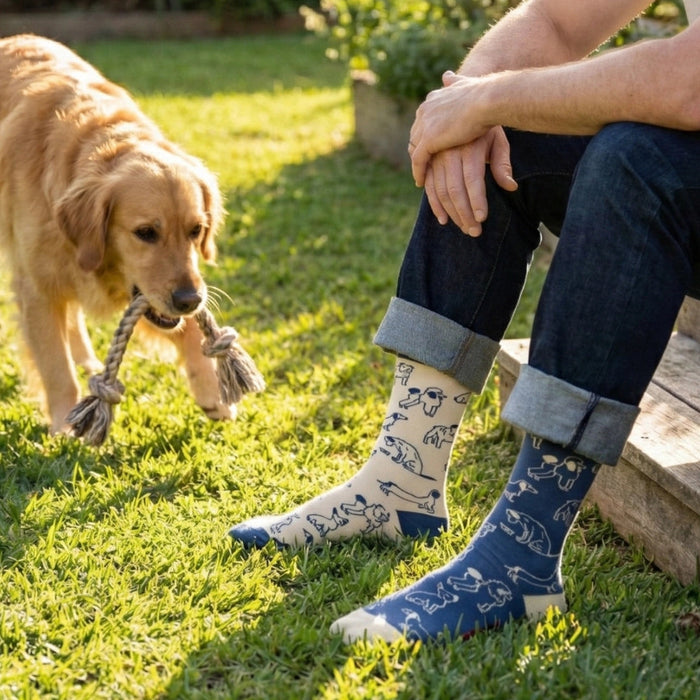 Men's Socks This Did Good Dogs