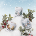 Three white cylindrical candles with illustrated winter labels are arranged in snow with frosted greenery and red berries. The labels read Pine Ridge and show scents Winter Mint, Holiday Chronicle, and East Coyote Cream.