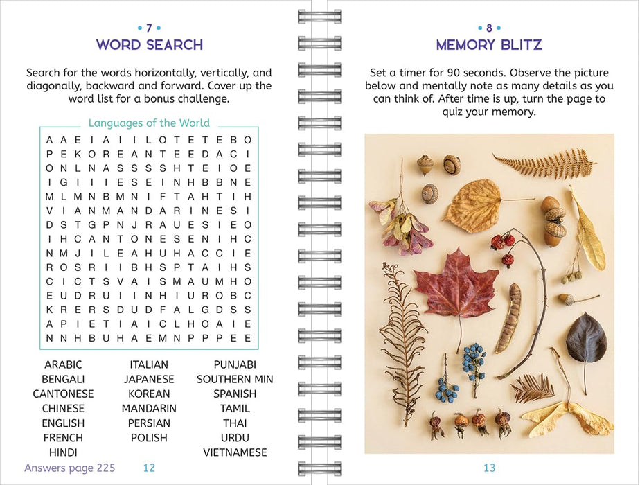 Large Print Memory Puzzle Book