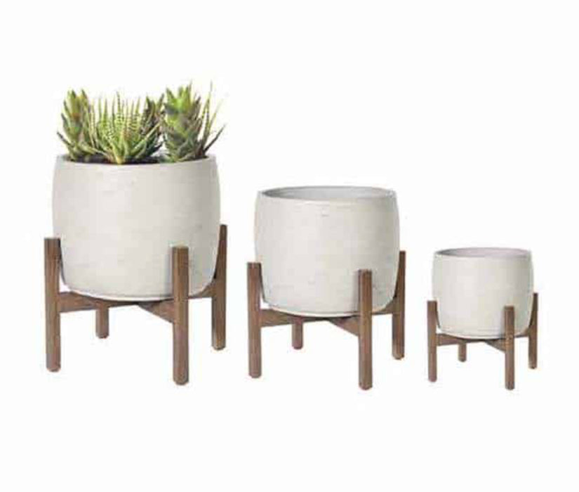 Curve Cement Pot Grey with Natural Stand