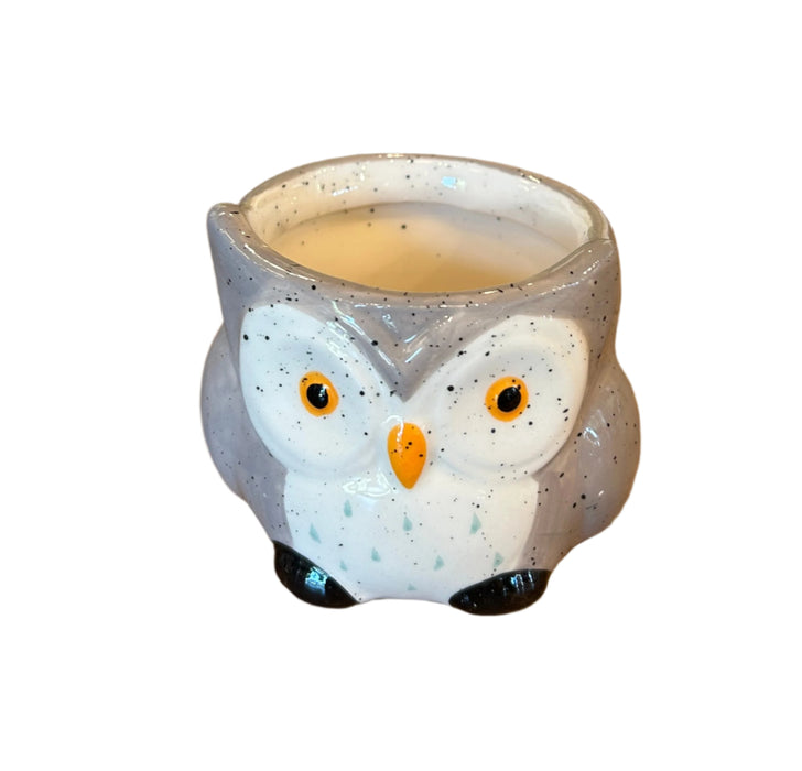 Wise Owl 2" Pot