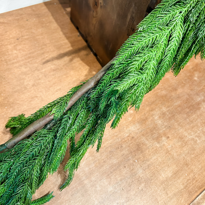 Fresh Touch Norfolk Pine Garland