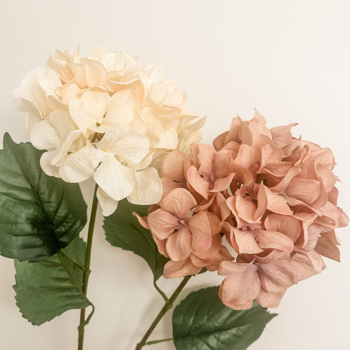 Large Bloom Tall Hydrangea Stems