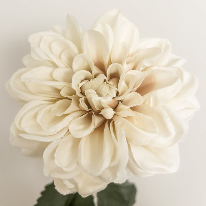 Cream Disbud Faux Stems