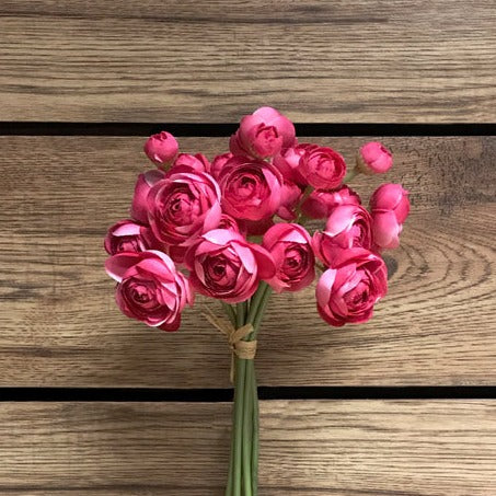 Ranunculus Stems