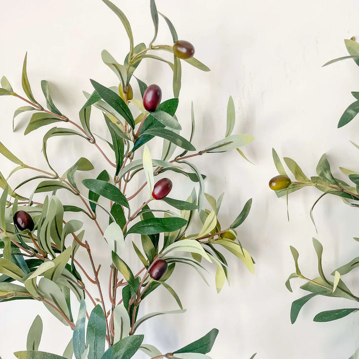 Olive Branch Stem