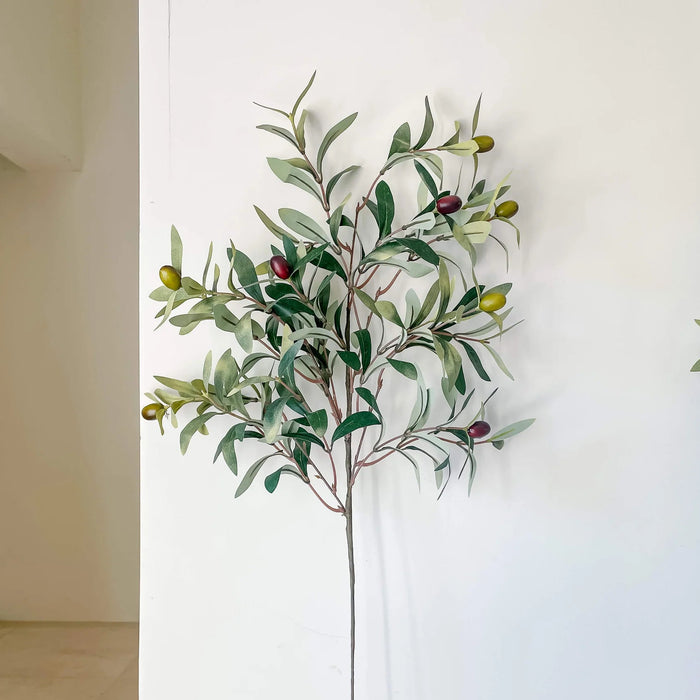 Olive Branch Stem