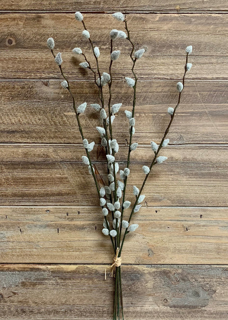 19" Pussy Willow Bundle