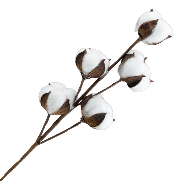 Spray Cotton Pods