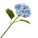 Blue hydrangea flower with green leaves on a white background