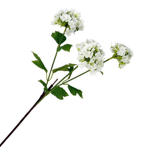 White flowers on a green stem with leaves against a white background