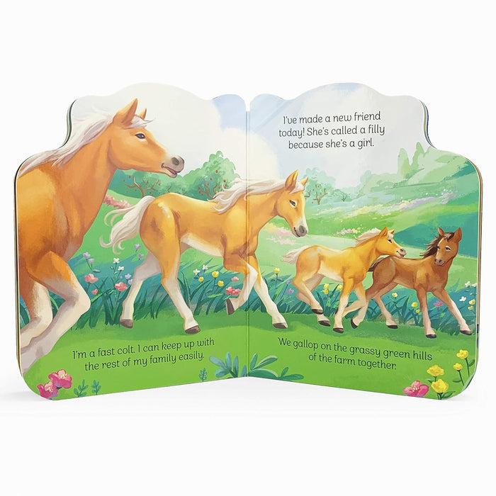 Little Colt Board Book
