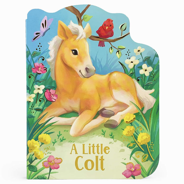 Little Colt Board Book