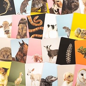 Baby Animal Memory Match Game