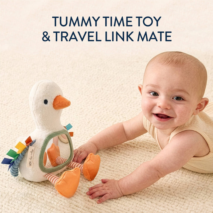 Itzy Bitzy Mirror™ Sensory Tummy Time Mirror - Goose