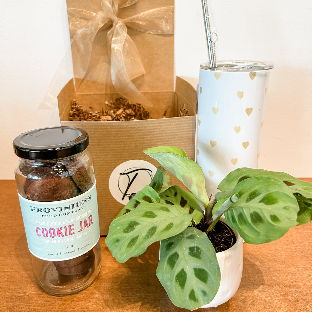 Gift Boxes — Thrive Greenery & Gifts