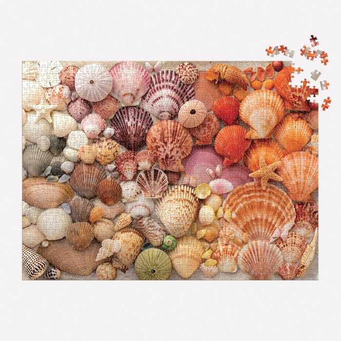 Vibrant Seashells 1000 pc Puzzle