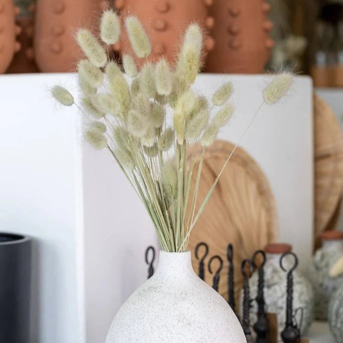 A bouquet of bunny tails in a vase 