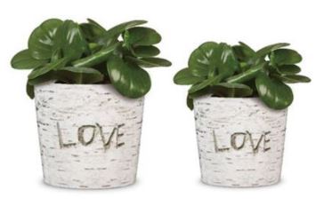 Ceramic Love Birch Tree Pot