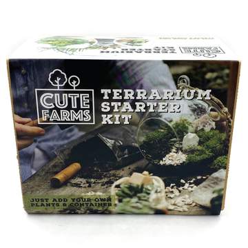Terrarium Starter Kit Gift Box