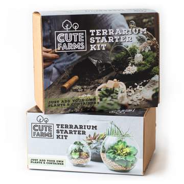 Terrarium Starter Kit Gift Box
