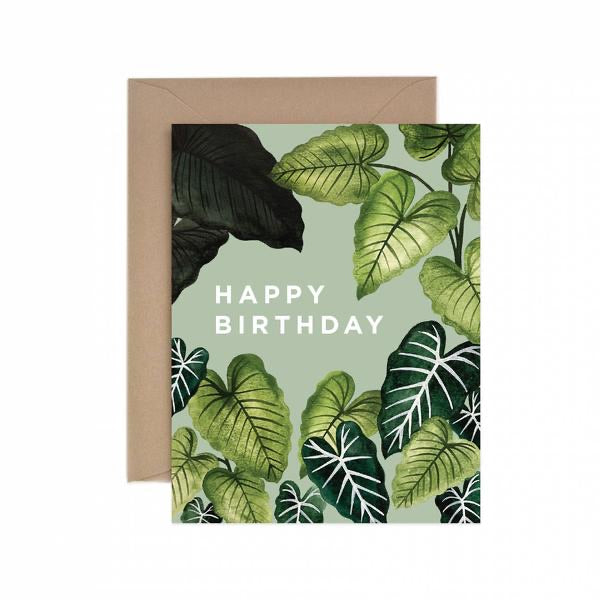 Card Alocasia Happy Birthday