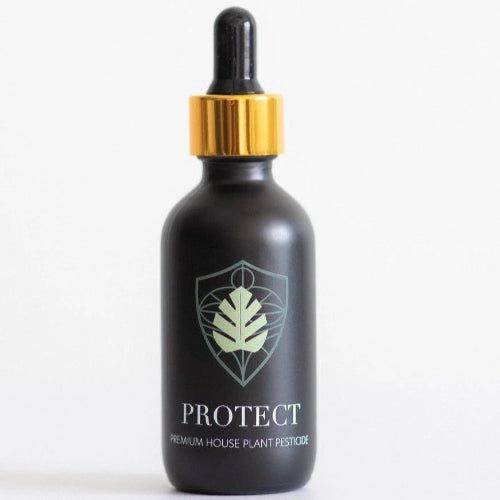 A black bottle with a gold dropper cap, labeled PROTECT Plant Vitamins with a green geometric design.