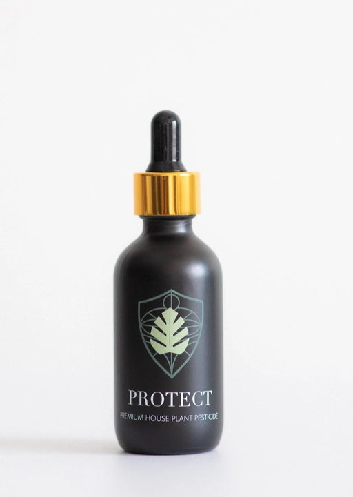 house plant vitamins Protect Plant Vitamins — Thrive Greenery & Gifts