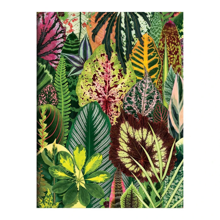 Houseplant Jungle Notecards Set