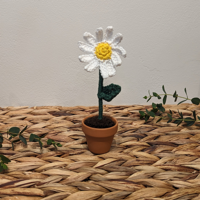 Crochet Daisy - Small