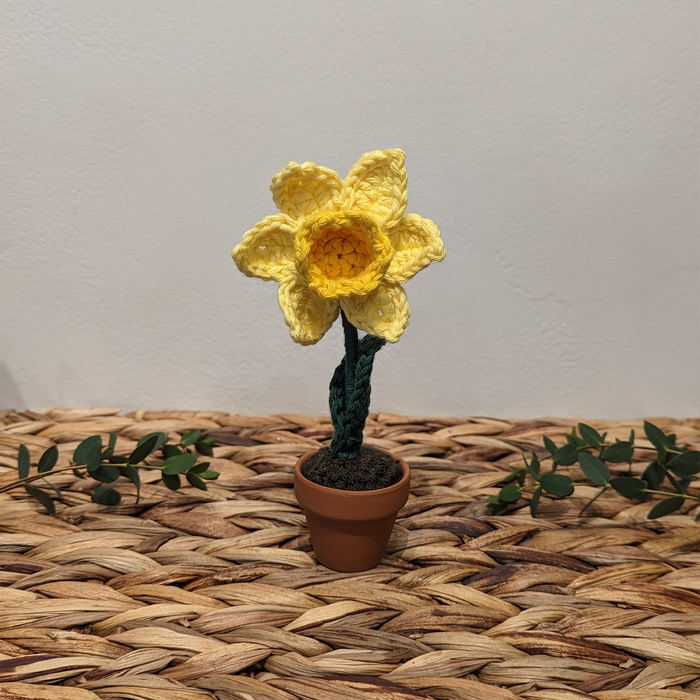 Crochet Daffodil - Small