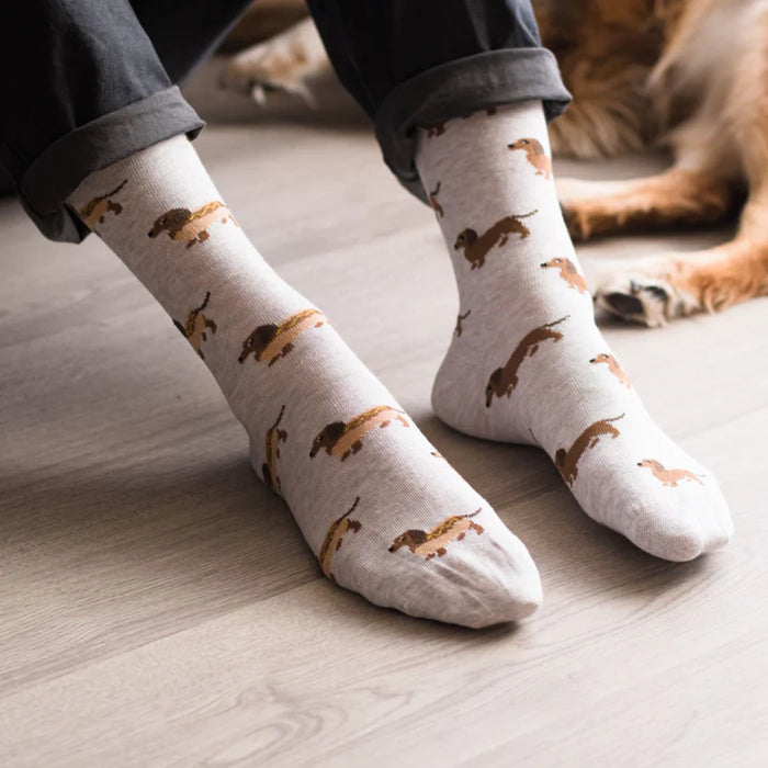 Women's Socks Wiener Dog